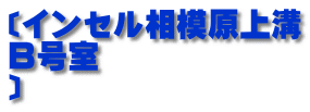 〔インセル相模原上溝 B号室 〕