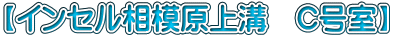 【インセル相模原上溝　C号室】