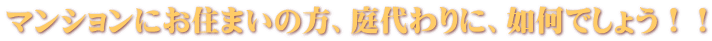 マンションにお住まいの方、庭代わりに、如何でしょう！！